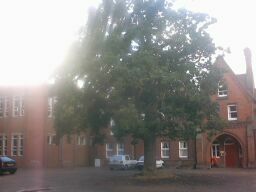 binnenplaats